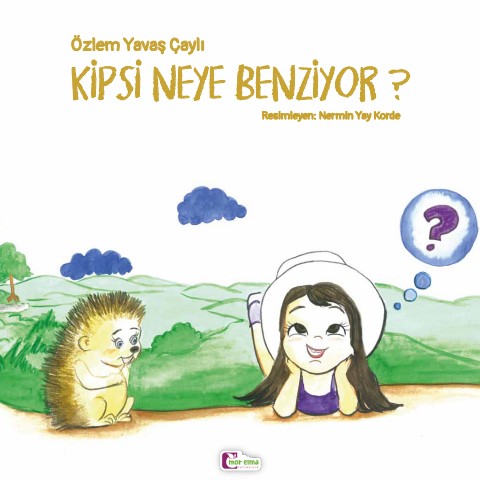 Kipsi Neye Benziyor